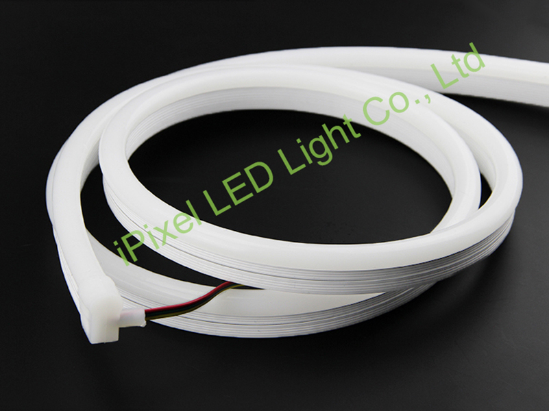 RGB LED Neon Decoration in Blackpool UK